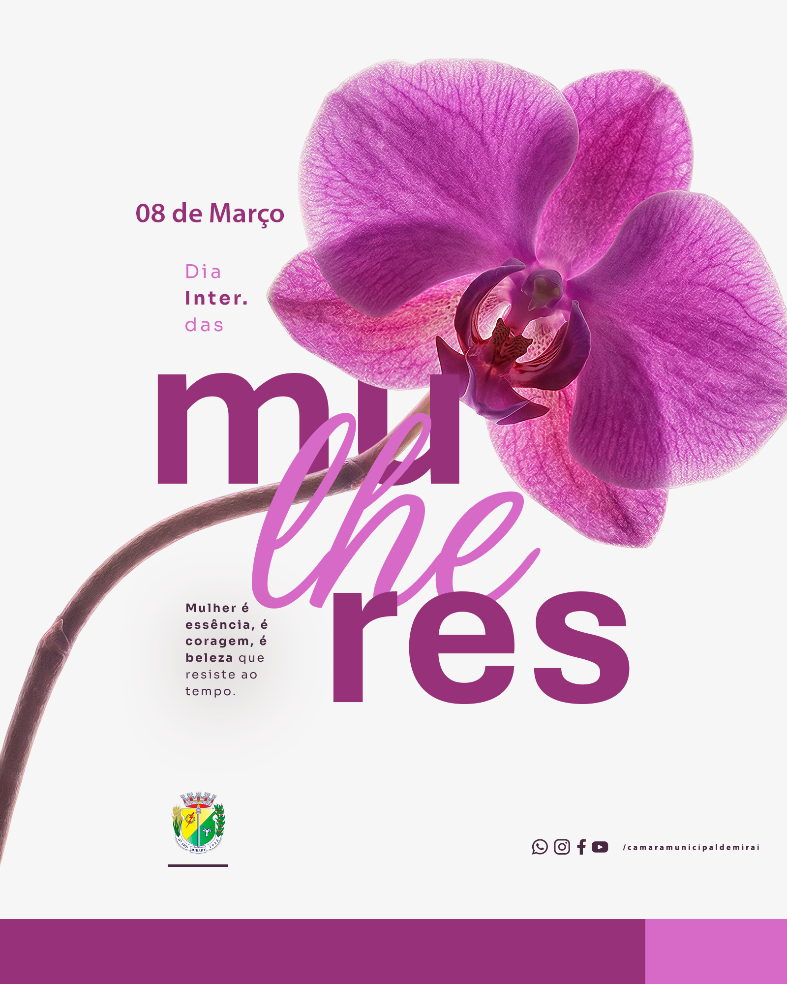 A Câmara Municipal de Miraí deseja um Feliz Dia das Mulheres 